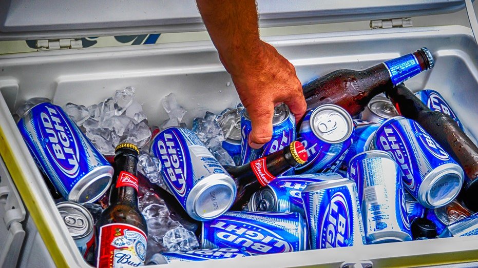 hand reached into a cooler of budlight beers