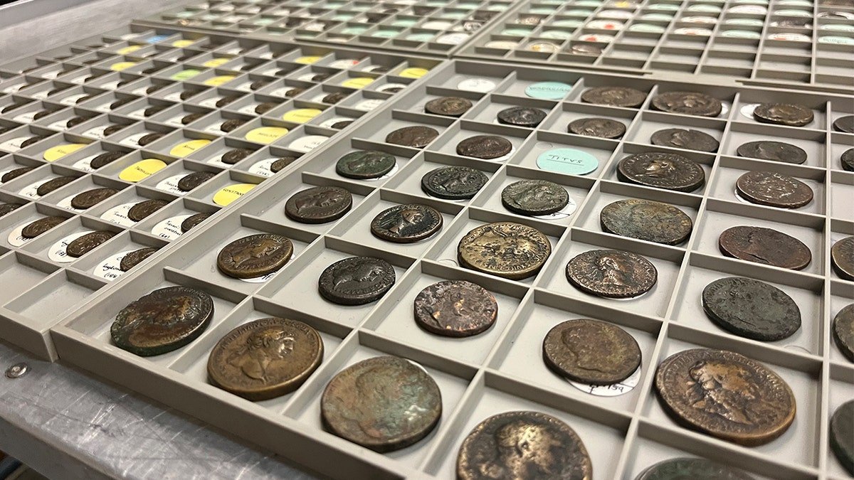 Wide shot of coin collection