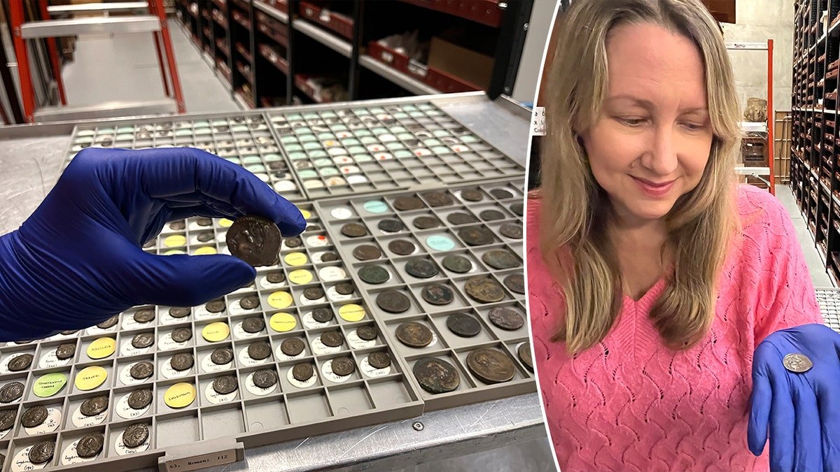 Coin collection, curator holding coin