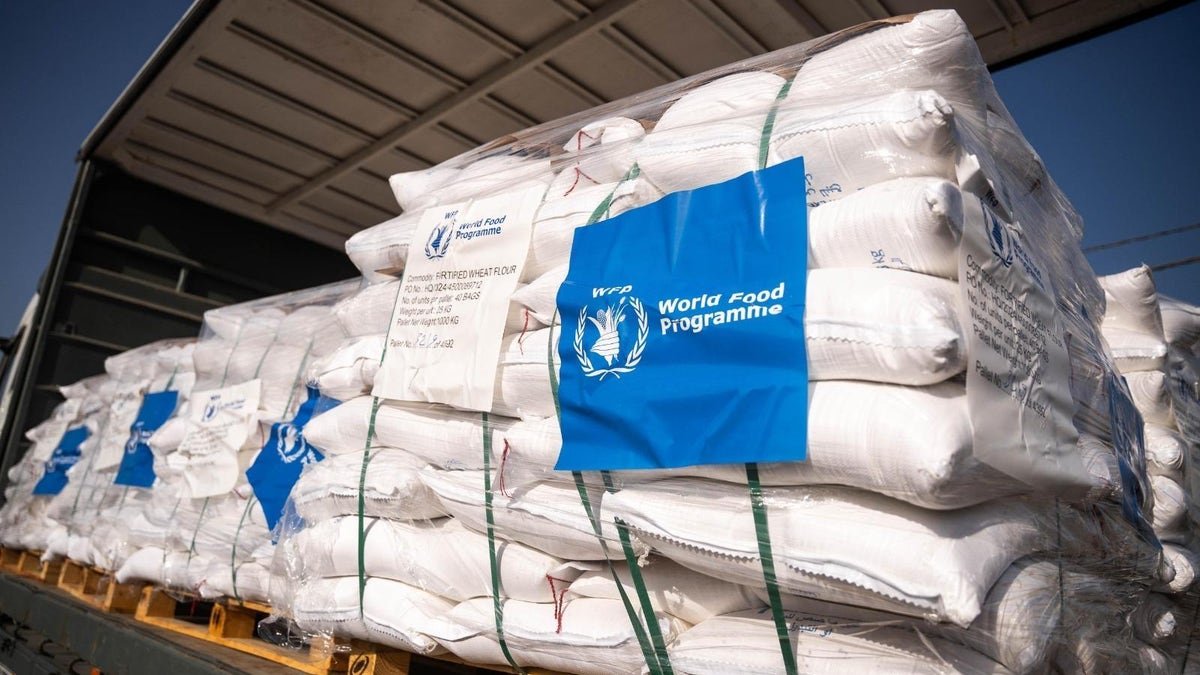 World Food Programme aid supplies at Erez crossing on Israel-Gaza border