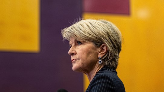 Julie Bishop says she inherited a financial mess.
