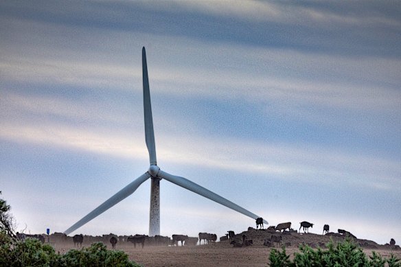 Emissions from the electricity sector fell in 2025 as renewables displaced coal and gas. 
