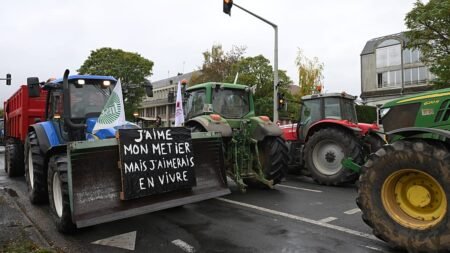 First protests against high fuel prices emerge: who will join first?