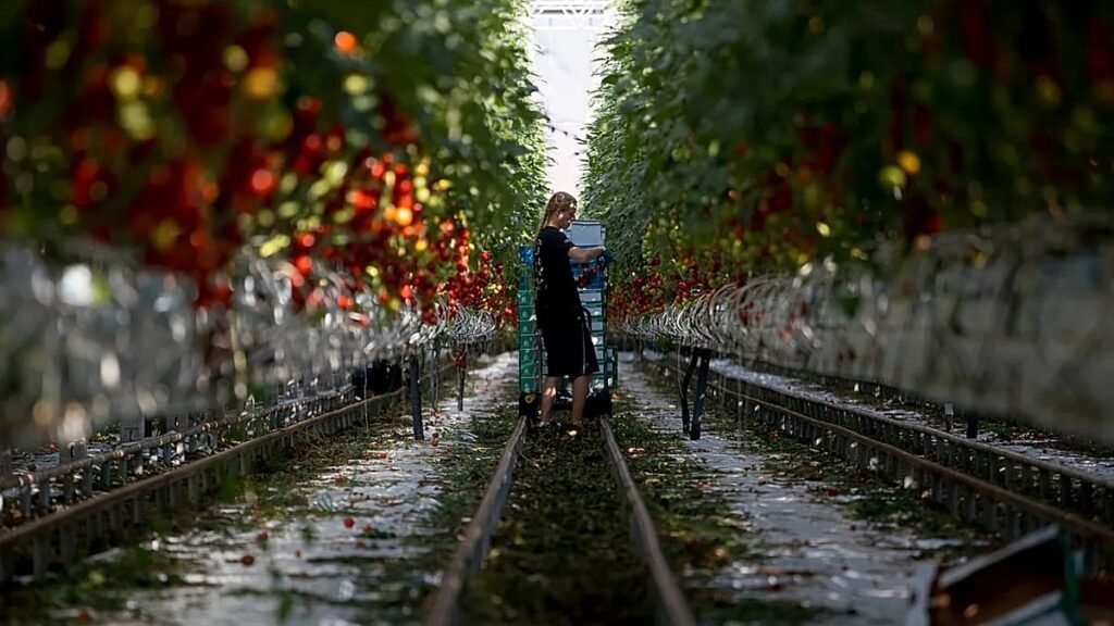 Sixteen EU countries seek more regional funds in long-term budget