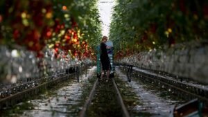 Sixteen EU countries seek more regional funds in long-term budget