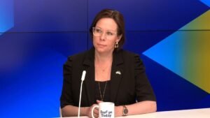 Swedish FM says focus should be on sanctions, not talks with Moscow