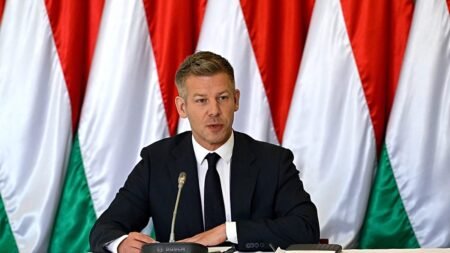 Magyar signals openness to Ukraine accession talks after Orbán exit