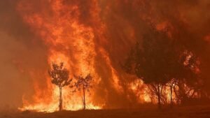 Spain to launch biggest wildfire campaign after record losses in 2025 Spain to launch biggest wildfire campaign after record losses in 2025