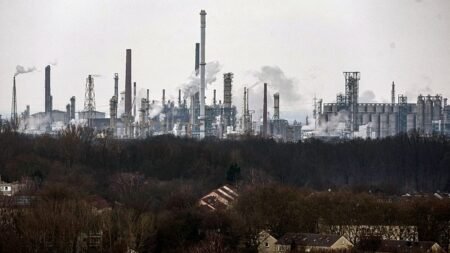Four EU countries push Brussels to ease carbon costs on industry Four EU countries push Brussels to ease carbon costs on industry