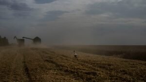 Kyiv slams Egypt for taking Russian‑shipped grain stolen from Ukraine