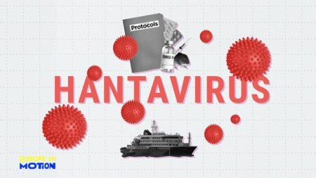 Hantavirus: How prepared is Europe for new health threats?