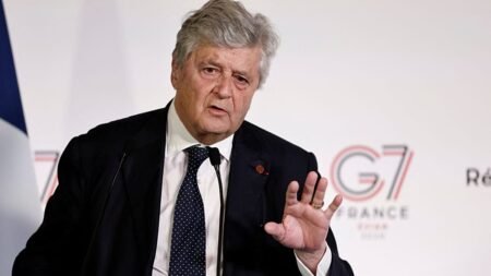 China ‘won’t win’ if it ‘destroys’ Europe’s industry – French minister