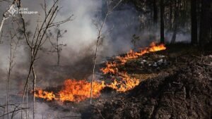 Forest fire burning near Chernobyl plant after drone crash, Kyiv says