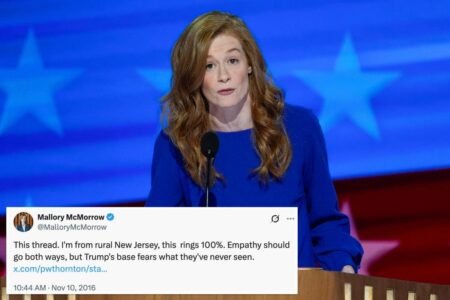 Michigan Dem Senate candidate Mallory McMorrow defends tweet trashing rural America, extolling coastal elites
