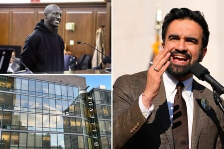 NYC’s broken mental health system to blame for maniac’s fatal subway-staircase shove: expert