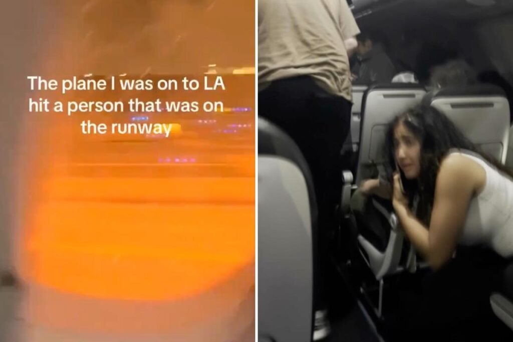 Terrifying videos show Frontier Airlines passengers fleeing smoke-filled cabin after jet strikes person on Denver runway Terrifying videos show Frontier Airlines passengers fleeing smoke-filled cabin after jet strikes person on Denver runway