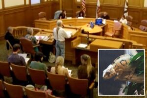 SF pet store owners prepare to fight as city plots ban on sale of live animals SF pet store owners prepare to fight as city plots ban on sale of live animals