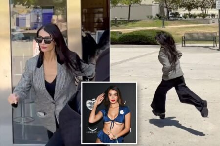 Exclusive | Stephen Cloobeck’s penthouse pet flees courthouse after passport is seized