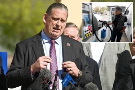 Senate Dems says ‘hell no’ to gas tax relief for Californians, Tony Strickland says