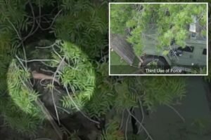 Police video shows fate of cop-killing gunman at hands of California sheriff’s deputy