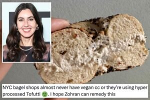 Taylor Lorenz whines NYC bagel shops don’t use the right vegan cream cheese, wants Mamdani to intervene