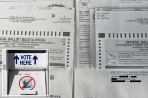 California lawmaker calls out woman’s double ballots as Gavin Newsom scrambles to secure polls