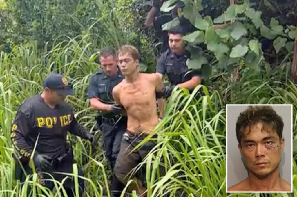 Murder suspect wanted over 3 killings arrested after intense search of Hawaii’s Big Island