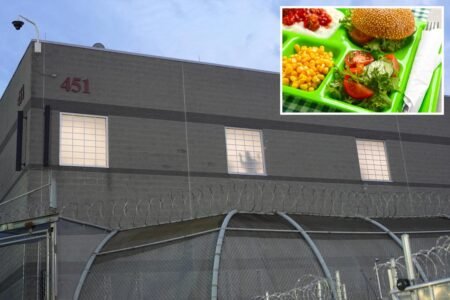 Fajitas, stir-fry, BBQ chicken – see the food options provided to Delaney Hall ICE detainees: ‘Higher standards than most US prisons’ Fajitas, stir-fry, BBQ chicken – see the food options provided to Delaney Hall ICE detainees: ‘Higher standards than most US prisons’