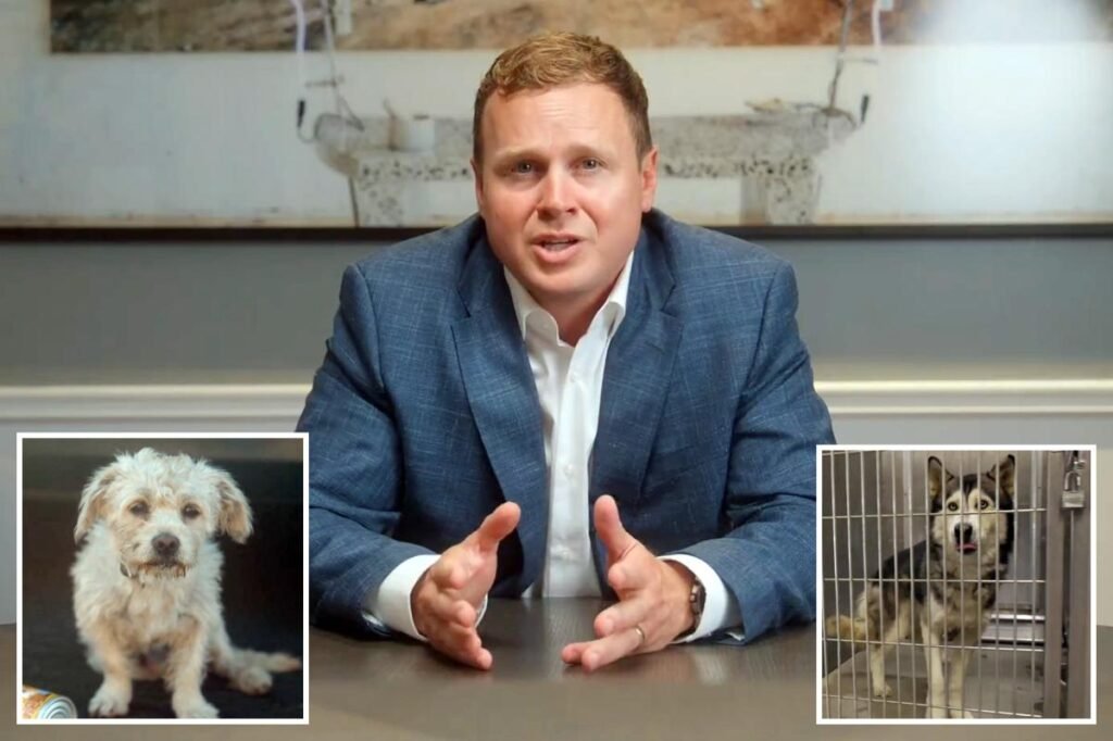 Spencer Pratt puts forth 5-step plan to help ‘heavenly’ animals in LA: ‘Dog is just God backwards’ 