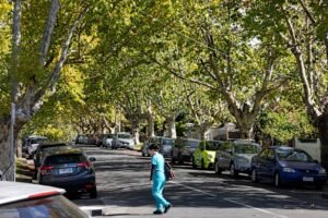 Kingston, Melbourne. My suburb feels like it’s hiding. But beneath its bashful veneer lies a boisterous past”
