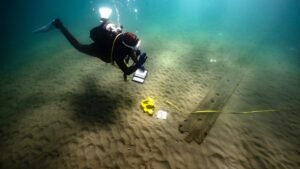 Fragile ‘underwater museum’ of ancient shipwrecks discovered beneath busy sea corridor