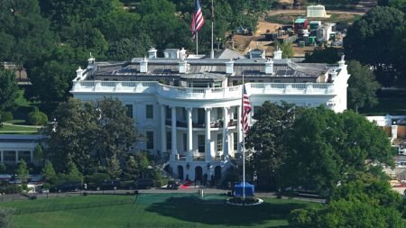 Man allegedly opens fire on Secret Service near White House as child injured in chaos