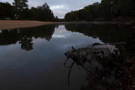 Wagga Wagga death of newborn shows other side of housing crisis