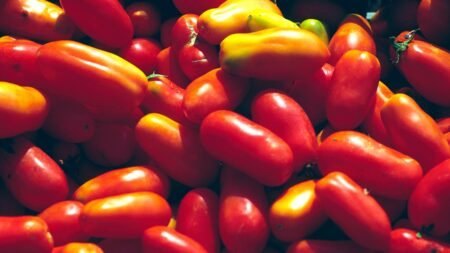 Popular food brand Cento accused of ‘tomato fraud’ in lawsuit