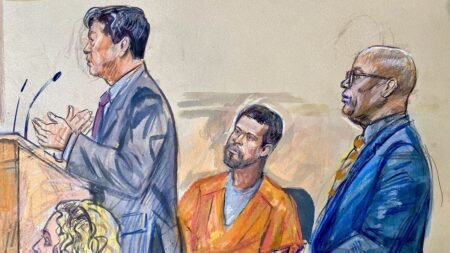 WHCA Dinner shooting suspect Cole Allen pleads not guilty, judge scoffs at defense’s power play WHCA Dinner shooting suspect Cole Allen pleads not guilty, judge scoffs at defense’s power play