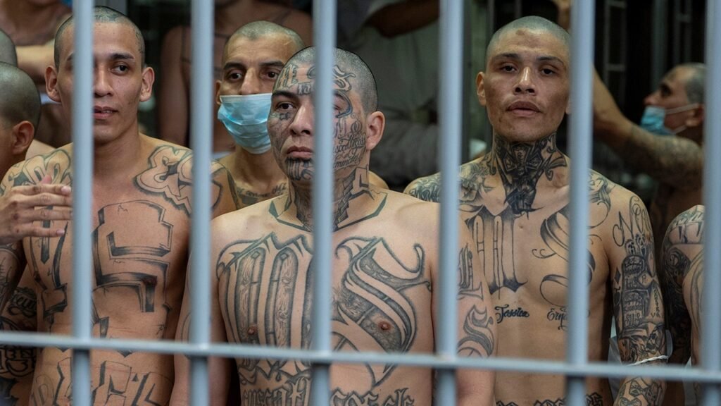 More than 25 charged in nationwide Tren de Aragua crackdown involving guns, drugs and cash More than 25 charged in nationwide Tren de Aragua crackdown involving guns, drugs and cash