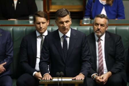 Budget reply shows Coalition is racing One Nation to the bottom on immigration
