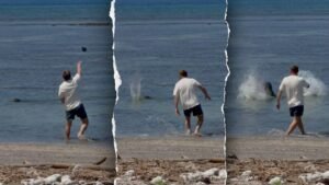 Viral businessman who bragged about wealth slapped with federal charges in endangered species harassment case