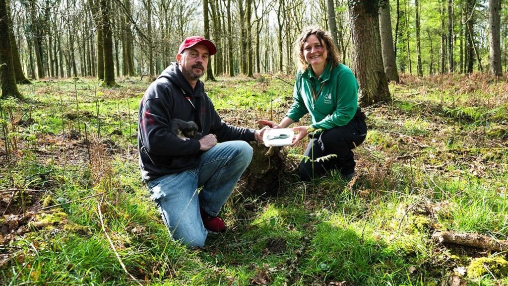 Dog walker’s routine stroll turns into ‘incredible’ 3,000-year-old discovery in picturesque forest