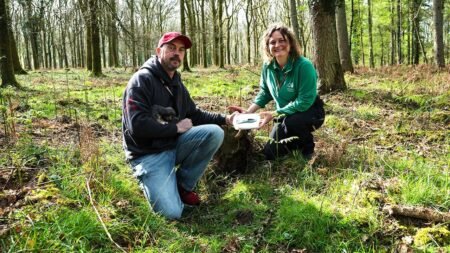 Dog walker’s routine stroll turns into ‘incredible’ 3,000-year-old discovery in picturesque forest