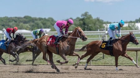 Preakness Stakes 2026: What to know about the second leg of horse racing’s Triple Crown Preakness Stakes 2026: What to know about the second leg of horse racing’s Triple Crown