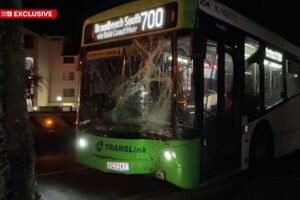 Police search for e-bike riders after they pelt bus with rocks in Currumbin, causing crash Police search for e-bike riders after they pelt bus with rocks in Currumbin, causing crash
