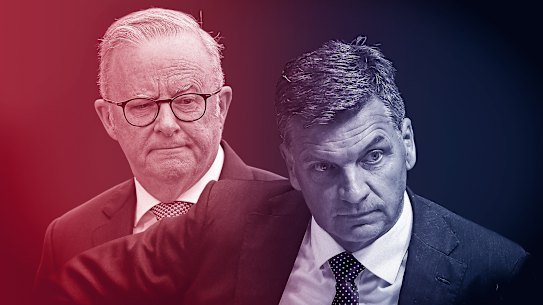 Anthony Albanese and Angus Taylor.