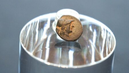 Teen stumbles on mysterious coin from legendary city, puzzling archaeologists over its journey