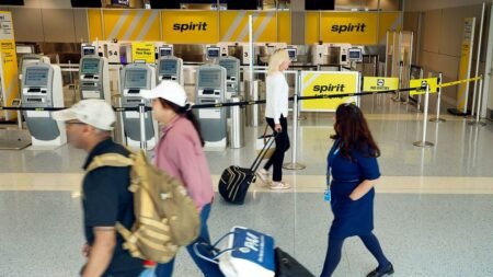Spirit Airlines lawyer apologizes to Americans ‘priced entirely out’ of air travel after sudden collapse Spirit Airlines lawyer apologizes to Americans ‘priced entirely out’ of air travel after sudden collapse