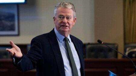 Idaho Democrats choose small business owner in uphill race against incumbent GOP governor
