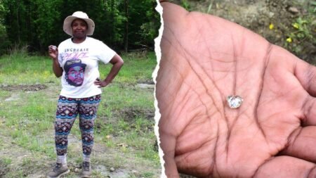 Woman stunned to unearth 3-carat diamond at state park after heartbreaking year