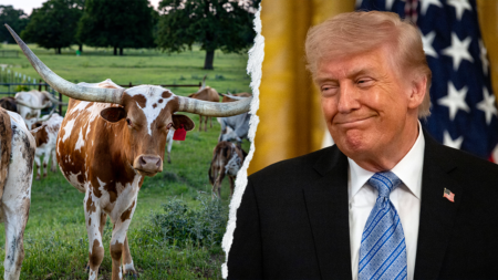 Trump roasts Dem candidate as unelectable for cardinal sin in Texas