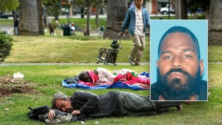 Ex-employee of taxpayer-funded nonprofit caught selling fentanyl near LA park: docs