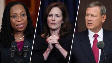 Trump fires warning shot at SCOTUS as major citizenship showdown looms: ‘It will be a disaster’